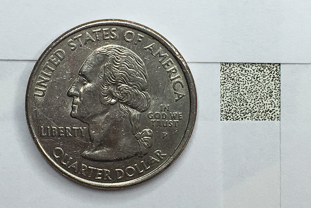 Stippling with quarter for scale