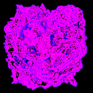 Topographic contour lines